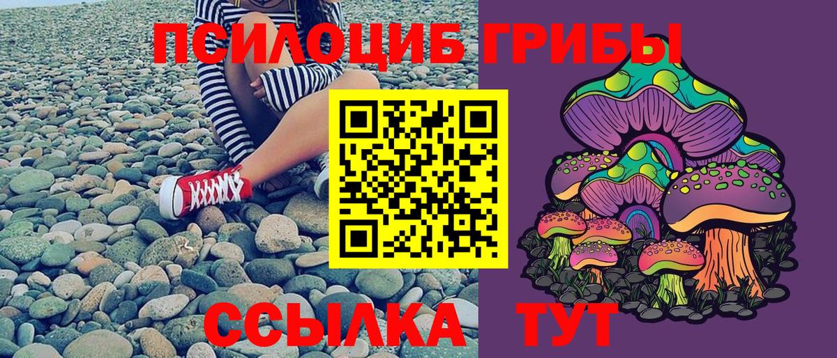 Псилоцибиновые грибы прущие грибы Оренбург
